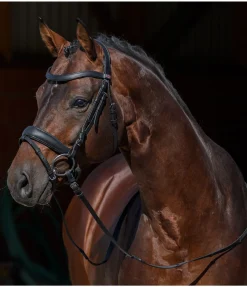 Best Muserolle suédoise en cuir gras avec noseband et boucle amovible Mix & Match PRO Muserolle Suédoise & Brides|Bridons Mix & Match Pro