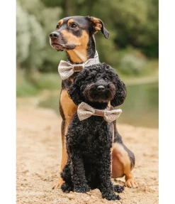 New Noeud papillon pour chien Tribal Love Accessoires Pour Chien