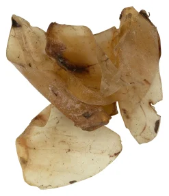 Online Oreilles de boeuf pour chien . Produit en Autriche. Articles À Mâcher & Friandises Pour Chien