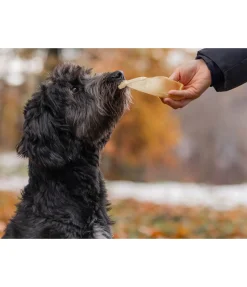 Online Oreilles de boeuf pour chien . Produit en Autriche. Articles À Mâcher & Friandises Pour Chien