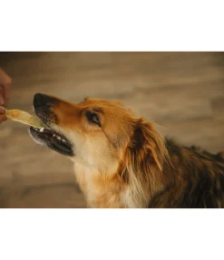 Online Oreilles de lapin Articles À Mâcher & Friandises Pour Chien