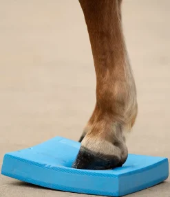 New Pad d'équilibre Balance Jouets Pour Chevaux
