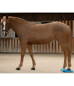 New Pad d'équilibre Balance Jouets Pour Chevaux