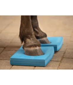 New Pad d'équilibre Balance Jouets Pour Chevaux