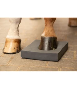 Pad d'équilibre Balance Jouets Pour Chevaux
