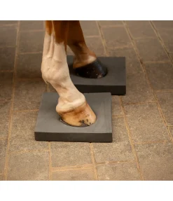 Pad d'équilibre Balance Jouets Pour Chevaux