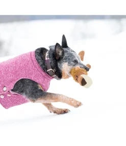 Online Peluche lion pour chien Lio Jouets Pour Chien