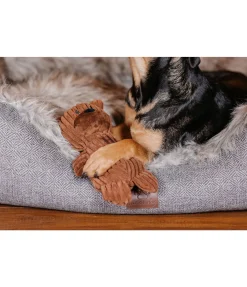 Peluche ours pour chien Bruno Jouets Pour Chien