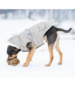 New Peluche ours pour chien Bruno Jouets Pour Chien