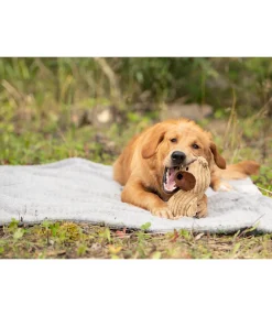 New Peluche ours pour chien Bruno Jouets Pour Chien