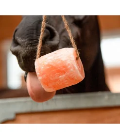 Pierre à lécher Pierres À Lécher & Accessoires