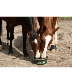 Hot Pierre à lécher Bronchial Compléments Minéraux|Aliments Complémentaires