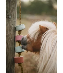 Hot Pierre à lécher Salty Lick Spirulina Pierres À Lécher & Accessoires