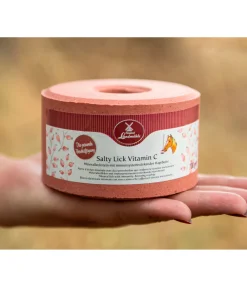 Best Pierre à lécher Salty Lick Vitamine C Pierres À Lécher & Accessoires