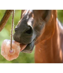 Hot Pierre à lécher de l'Himalaya Pierres À Lécher & Accessoires