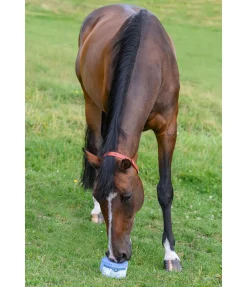 Hot Pierre à lécher minérale ANTIFLY Pierres À Lécher & Accessoires