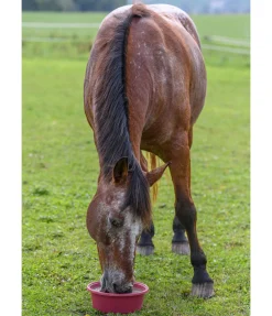 Outlet Pierre à lécher minérale Daily Compléments Minéraux|Pierres À Lécher & Accessoires