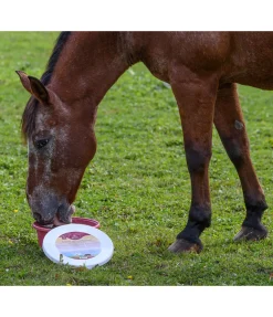 Outlet Pierre à lécher minérale Daily Compléments Minéraux|Pierres À Lécher & Accessoires