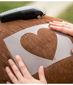 Discount Pochoirs de tonte Tondeuses