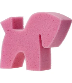 Sale Éponge cheval Enfant Articles De Pansage Pour Enfants|Matériel De Pansage