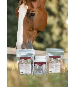 Poudre Immunité ImmunStark Aliments Complémentaires