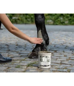 Clearance Pâte régénératrice Produits De Soin