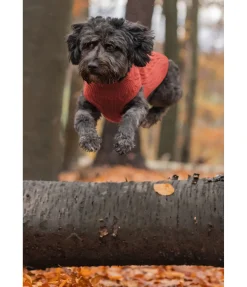 Discount Pull col roulé Maisie Peignoirs, Manteaux Polaire Et Pull-Overs