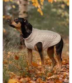 Discount Pull col roulé Maisie Peignoirs, Manteaux Polaire Et Pull-Overs