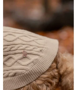 Discount Pull col roulé Maisie Peignoirs, Manteaux Polaire Et Pull-Overs