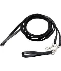 Hot Rênes allemandes Enrênements