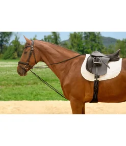 Hot Rênes allemandes Enrênements