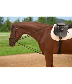 Hot Rênes allemandes Enrênements