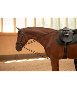 Hot Rênes allemandes Enrênements