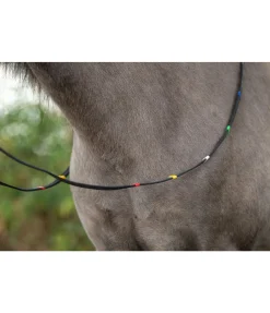 Sale Rênes éducatives Rênes