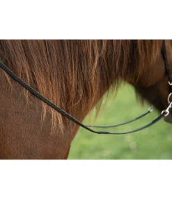 Online Rênes en BioThane Grip Rênes