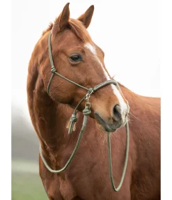 Hot Rênes fermées Bonny Rênes
