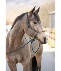 Best Rênes fermées Bonny Rênes