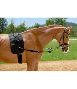 Outlet Rênes fixes en cuir avec anneaux en caoutchouc Enrênements