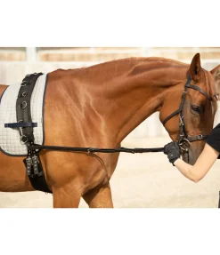 Sale Rênes fixes en cuir Elastik Enrênements