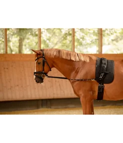 Sale Rênes fixes en nylon avec anneaux Enrênements