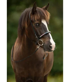 Clearance Rênes pour islandais Rênes