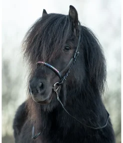Clearance Rênes pour islandais Rênes