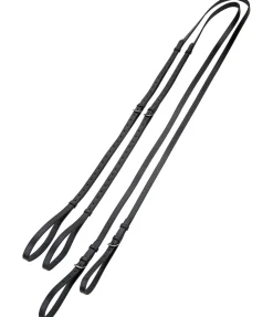 Rênes viennoises Enrênements