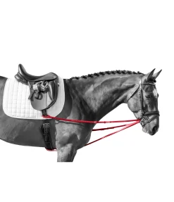 Rênes viennoises Enrênements