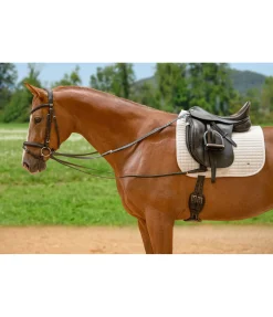 Rênes viennoises Enrênements