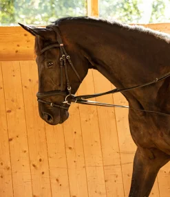 Rênes viennoises Enrênements