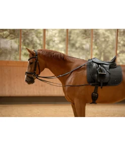 Rênes viennoises Enrênements