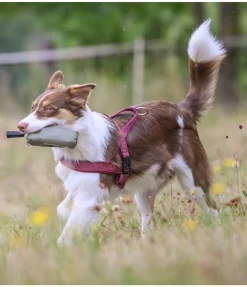 Sac à rapporter pour chien Classic Line Agility
