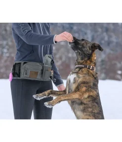 Outlet Sac banane pour l'entraînement Obedience Femme Sacs|Agility