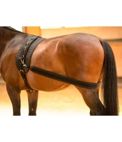Clearance Sangle élastique pour cheval Enrênements